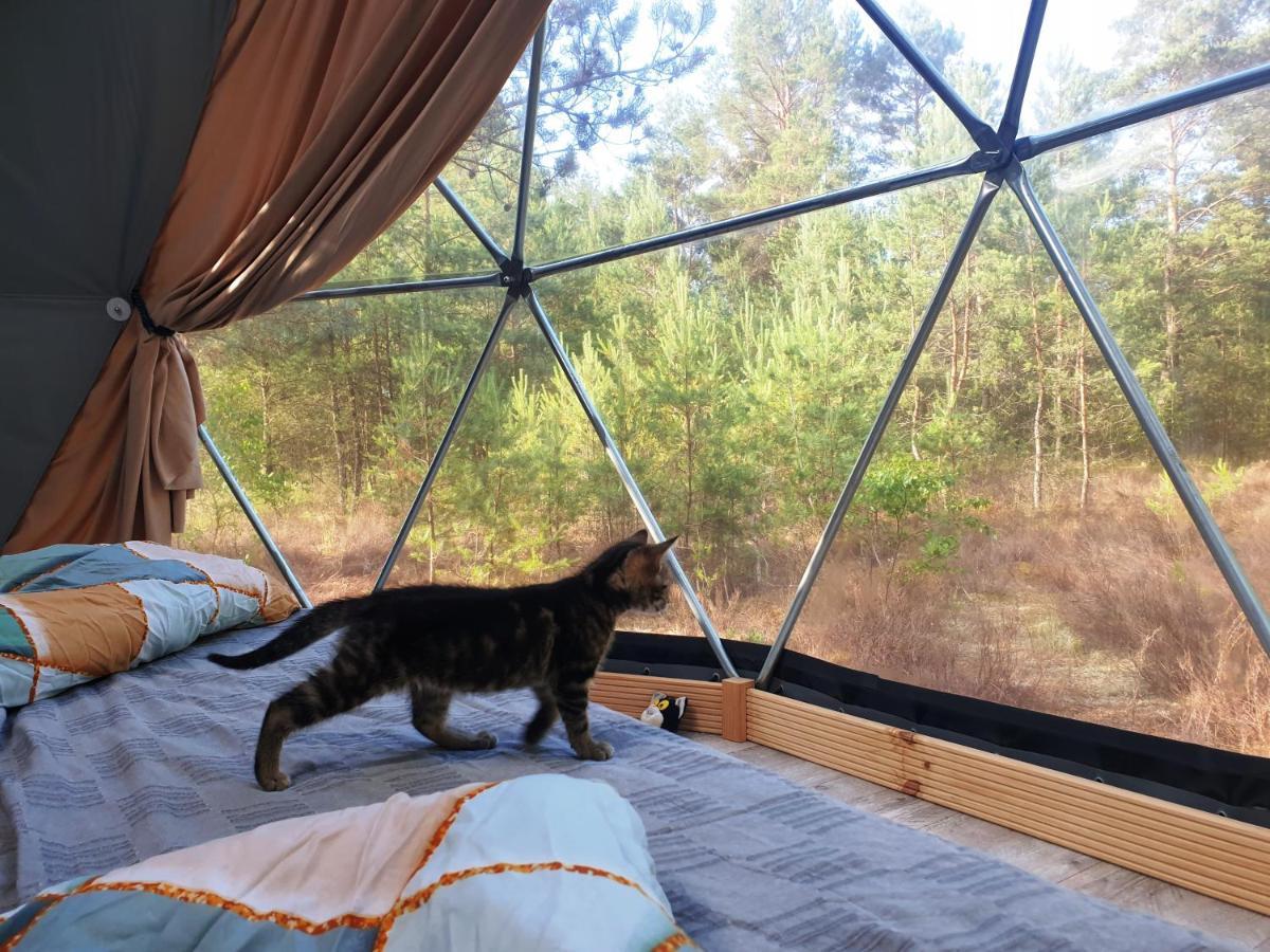 فندق Podniebny Glamping بورسك المظهر الخارجي الصورة